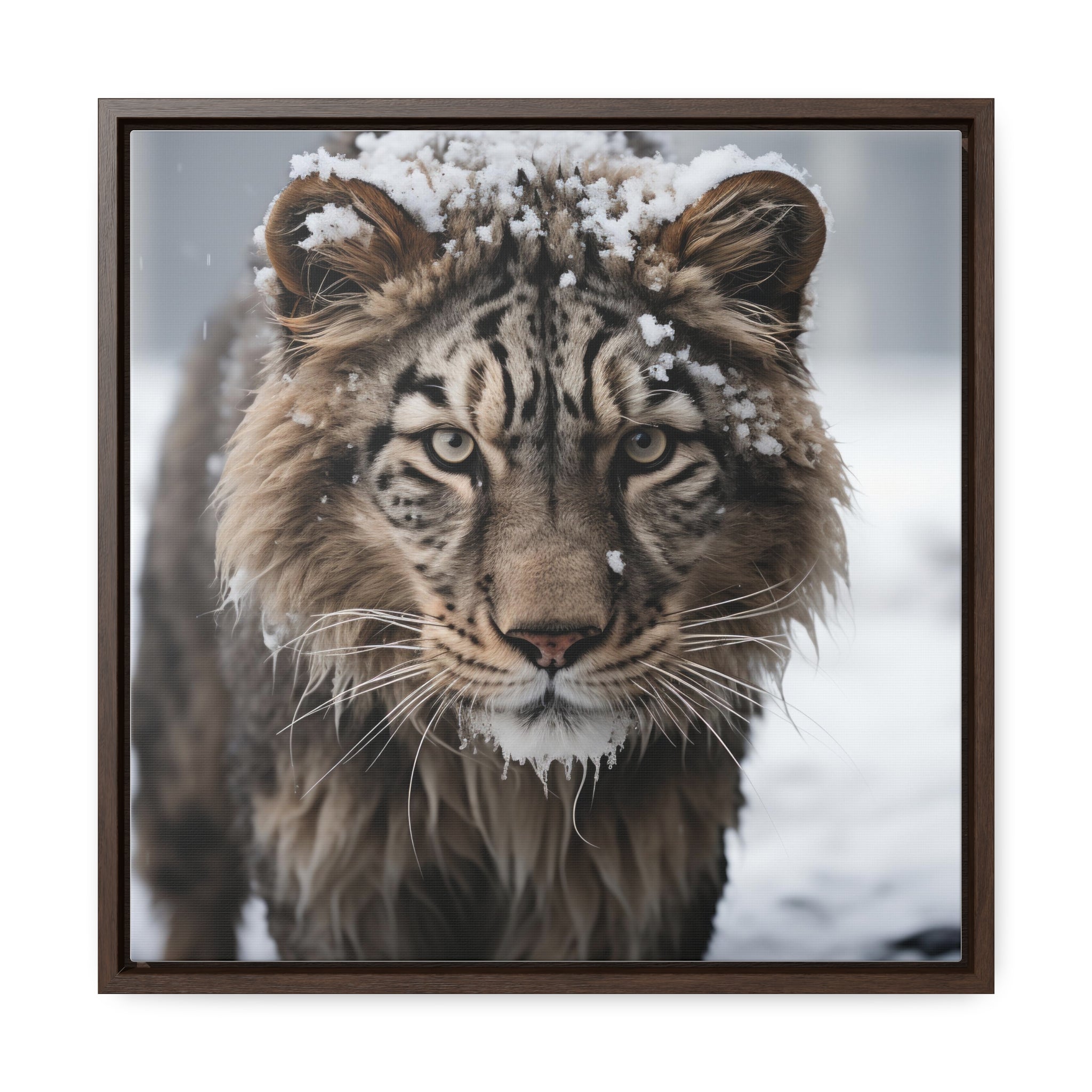 White Tiger  | Gallery Canvas Wraps, Square Frame