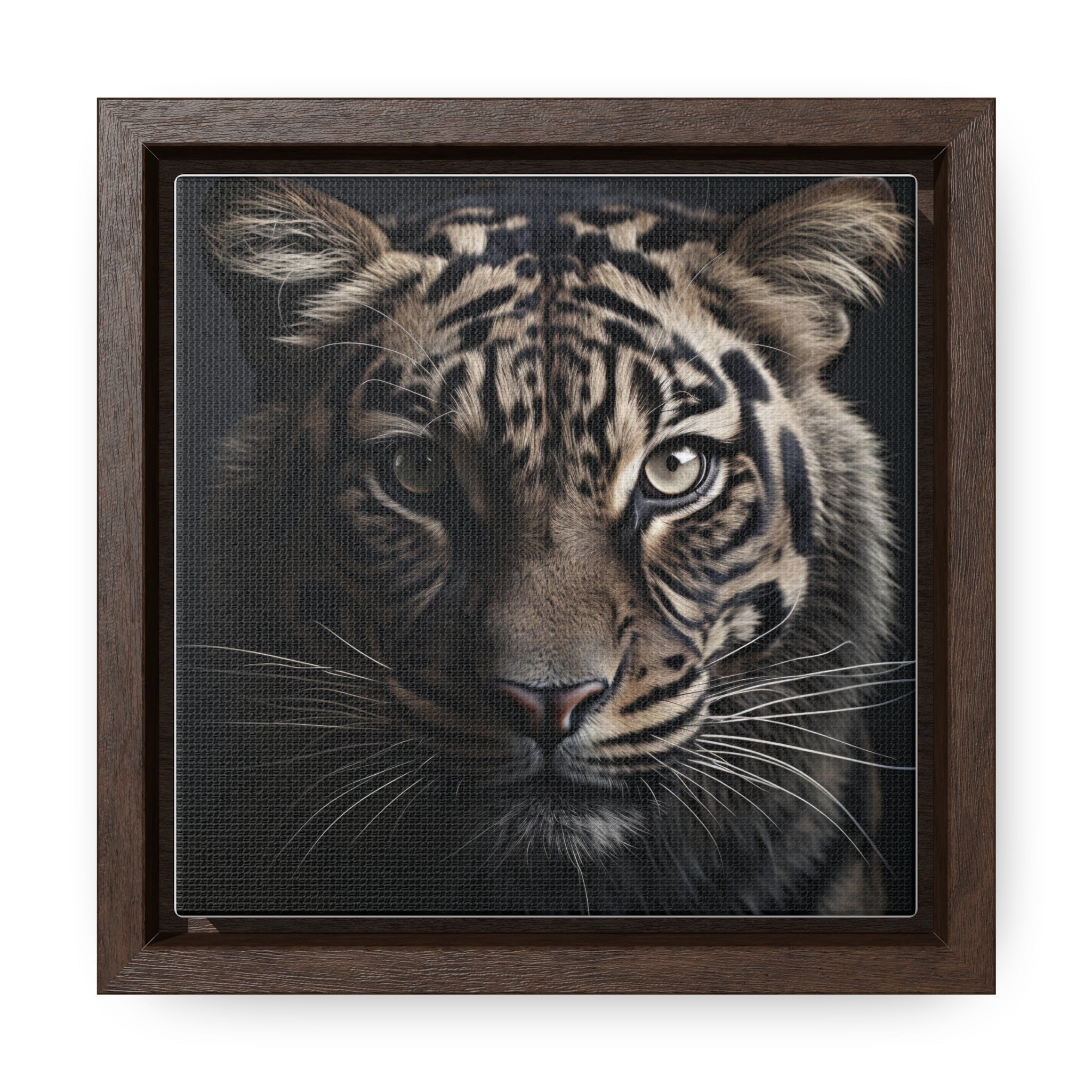 Bengal tiger | 2121Gallery Canvas Wraps, Square Frame