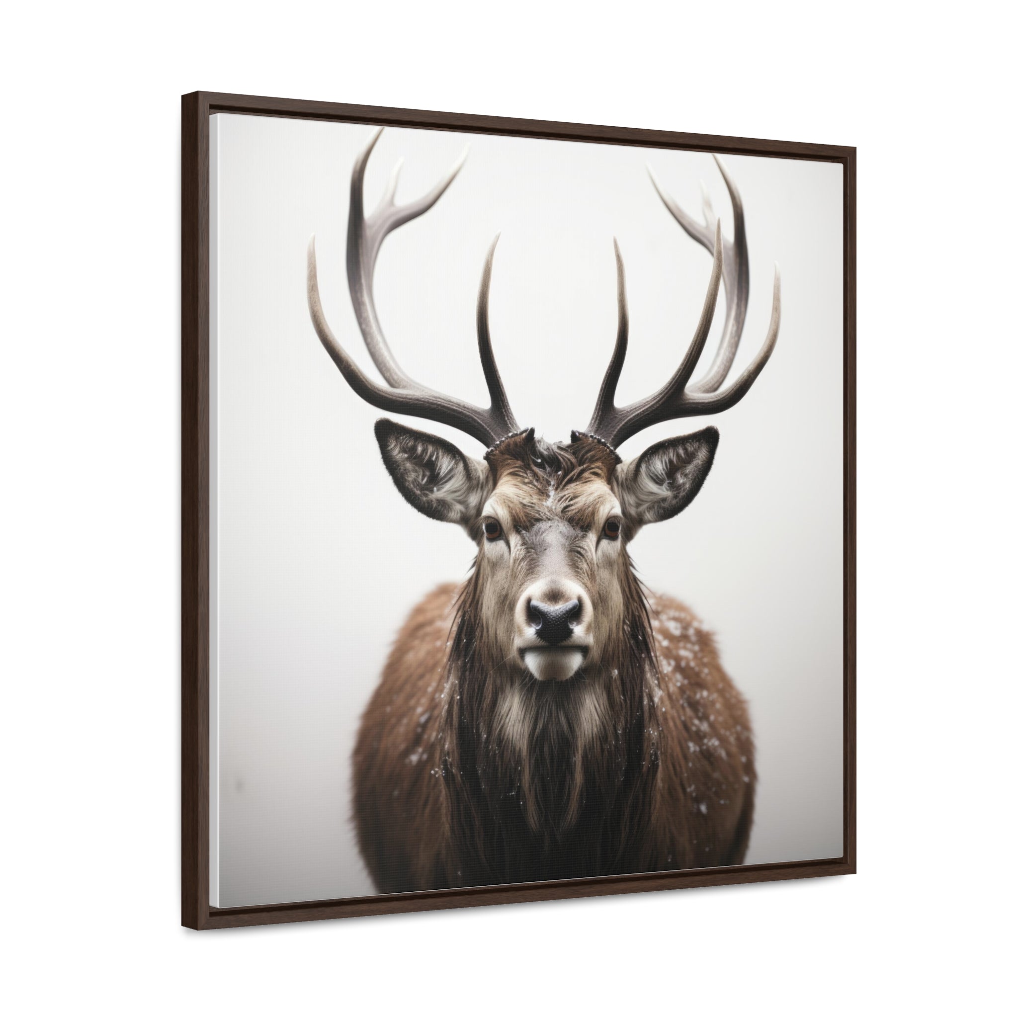 Deer | Gallery Canvas Wraps, Square Frame