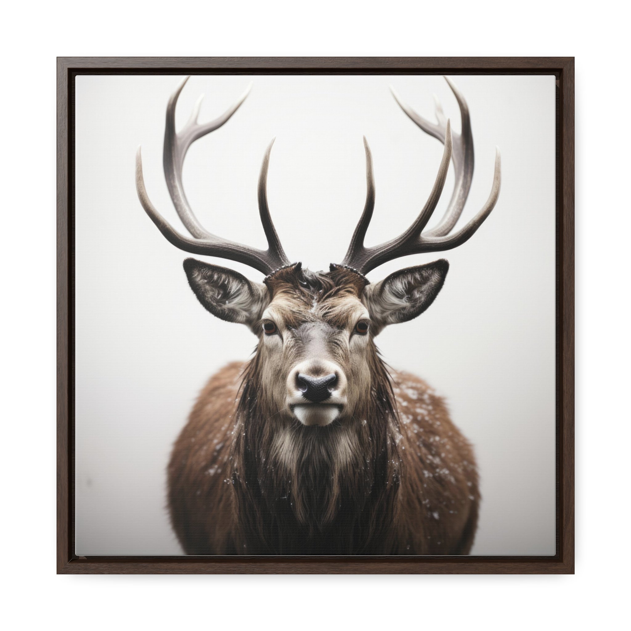 Deer | Gallery Canvas Wraps, Square Frame