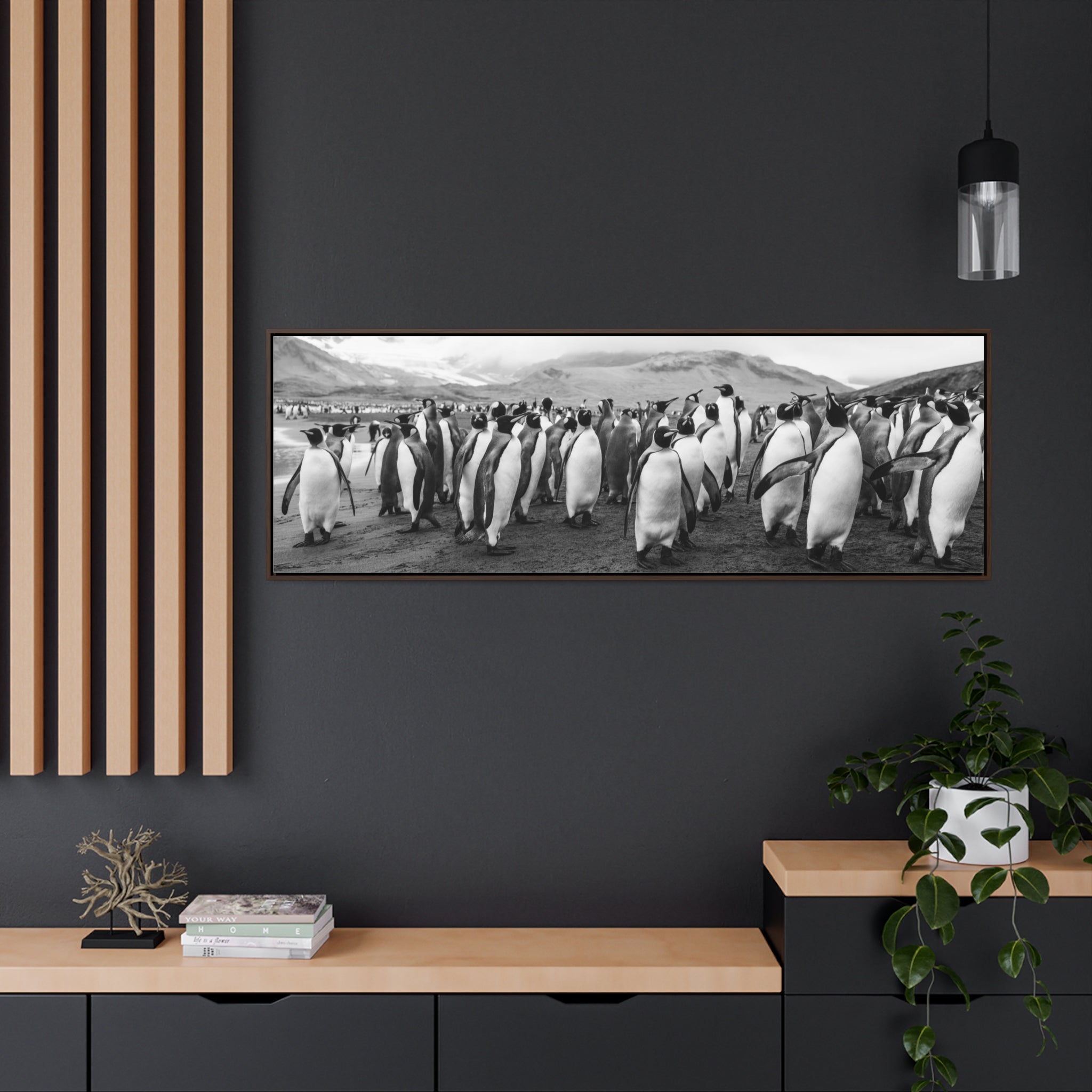 King Penguins, Gallery Canvas Wraps, Horizontal Frame