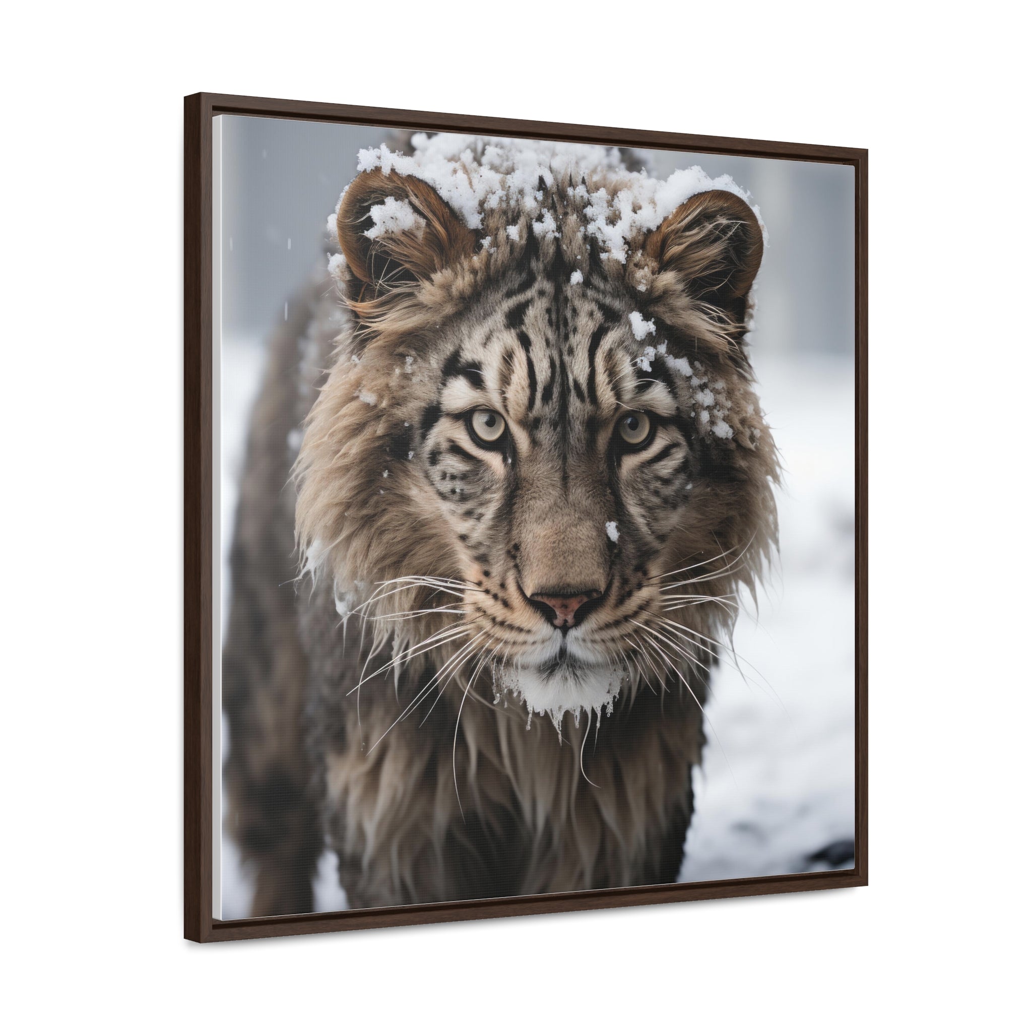 White Tiger  | Gallery Canvas Wraps, Square Frame