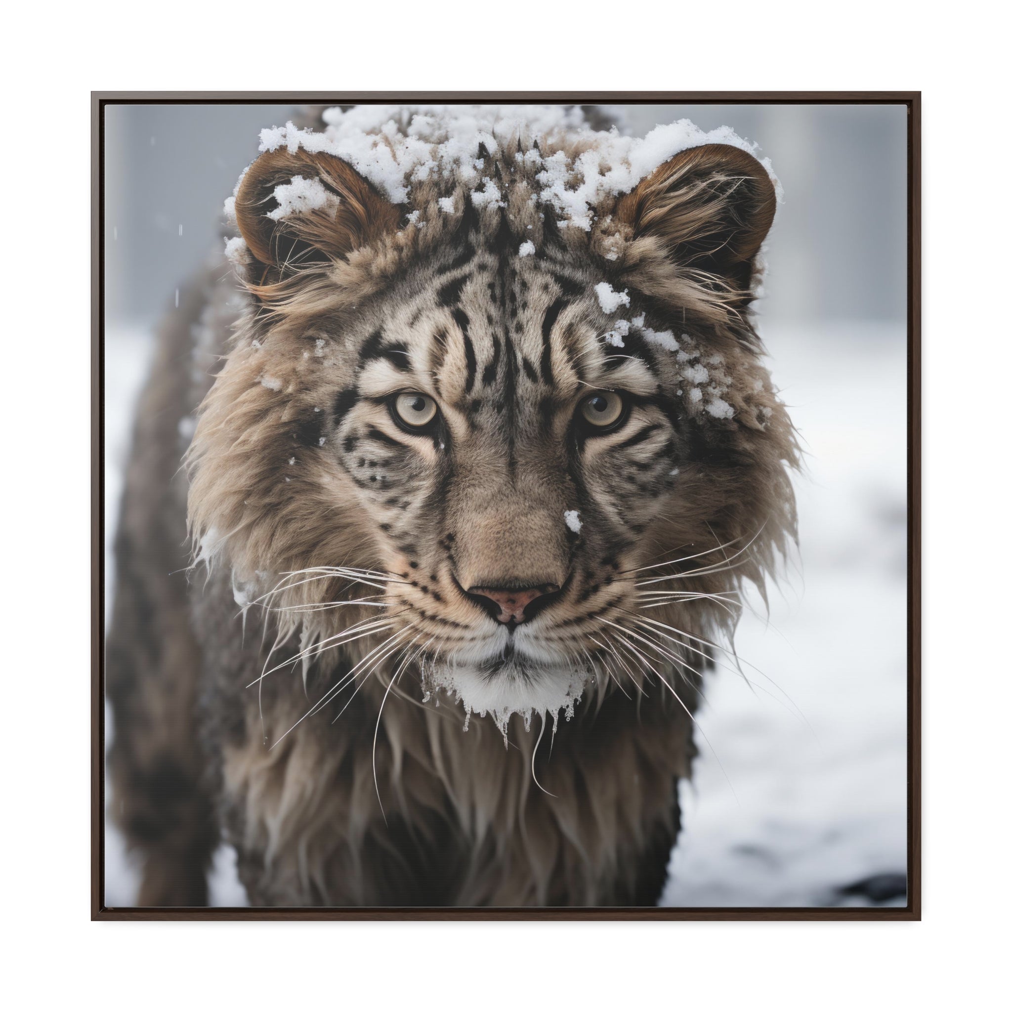 White Tiger  | Gallery Canvas Wraps, Square Frame