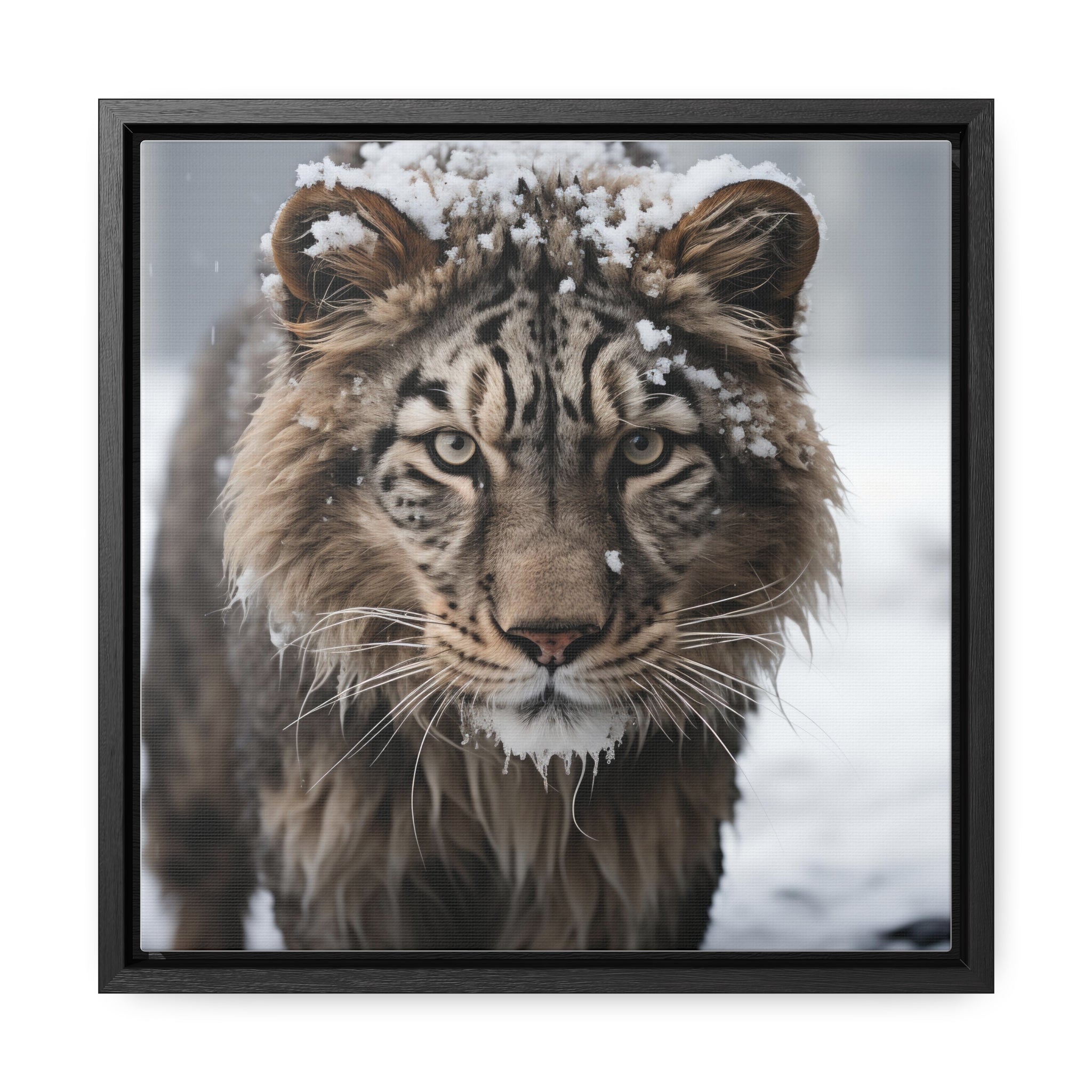 White Tiger  | Gallery Canvas Wraps, Square Frame