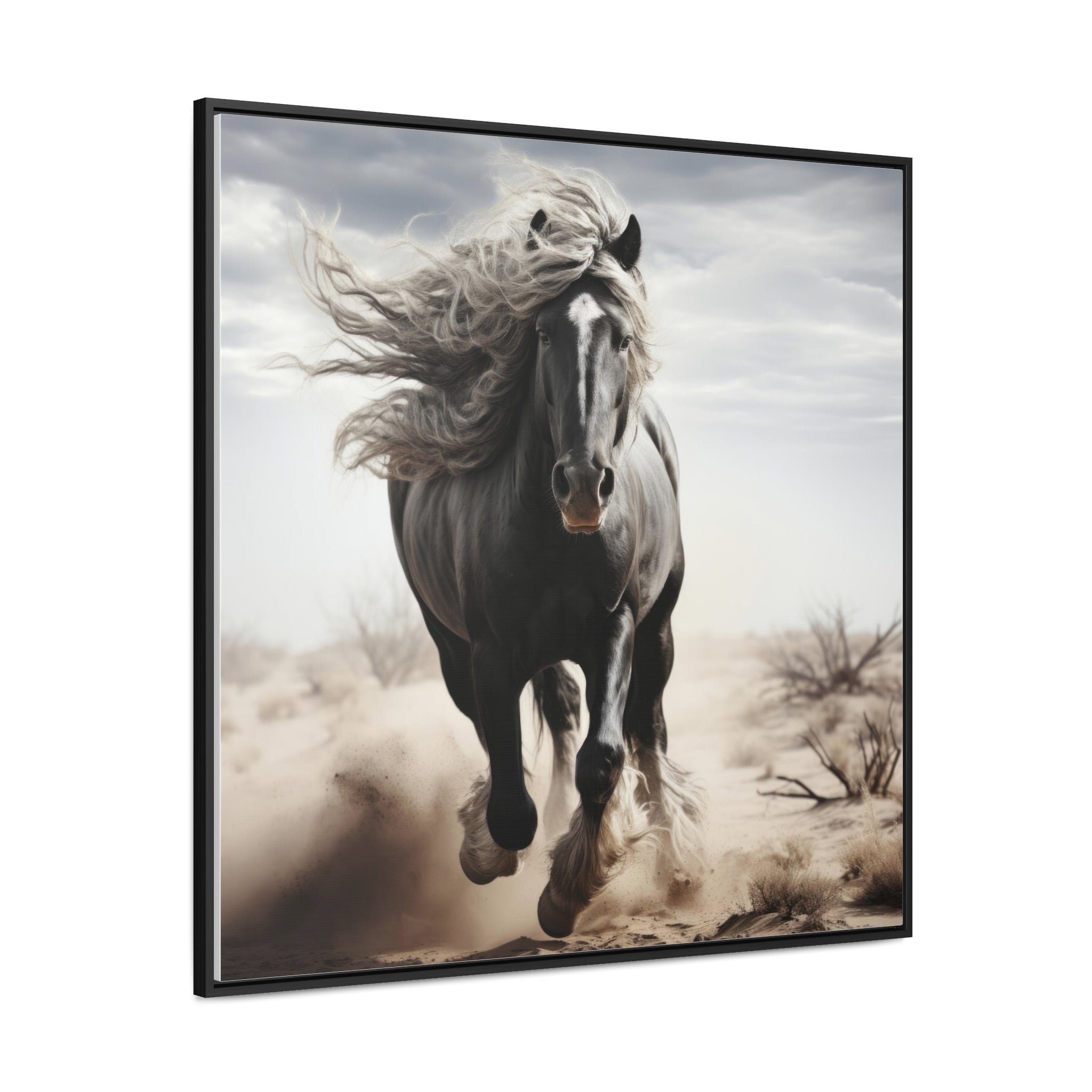 Galineers Cob | Gallery Canvas Wraps, Square Frame