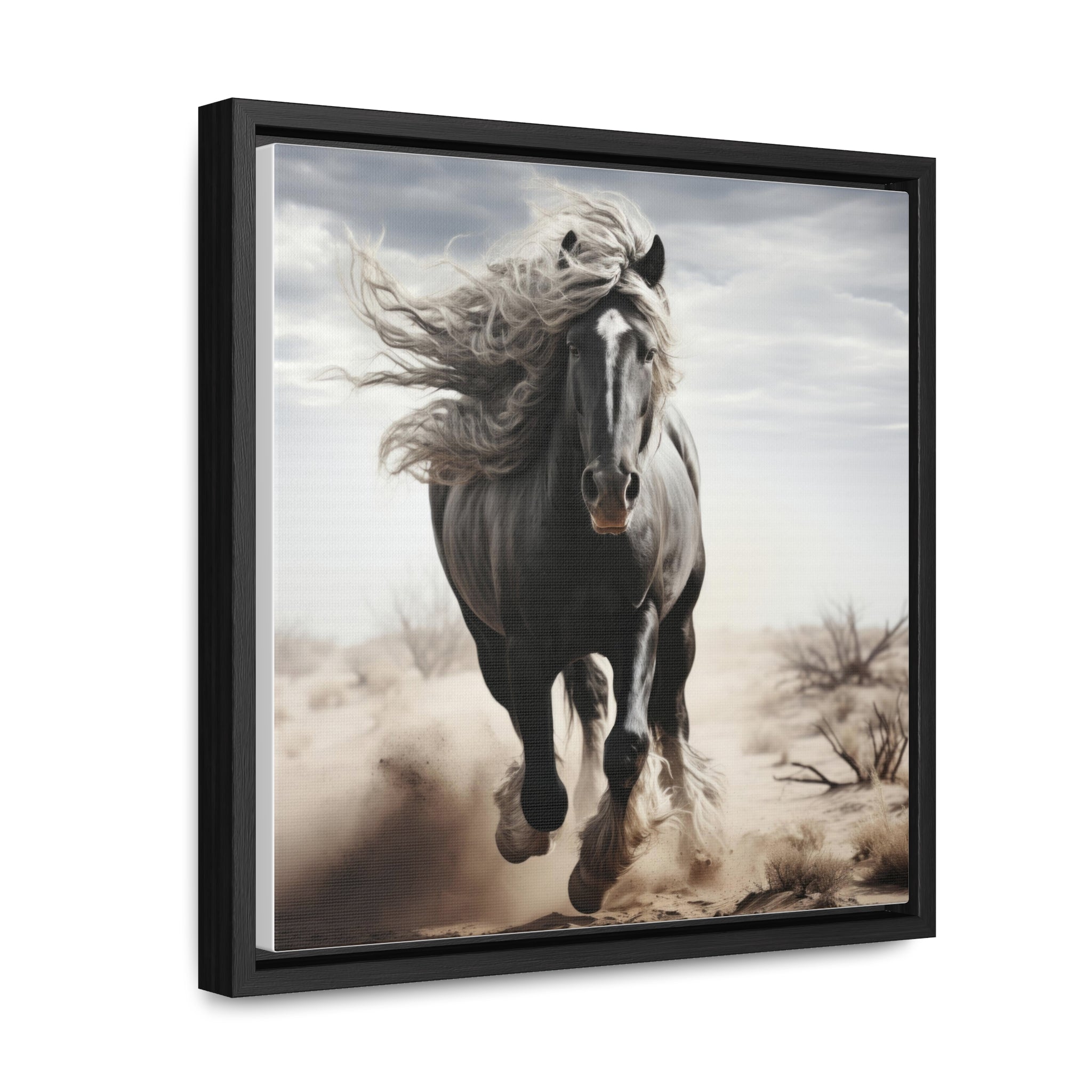 Galineers Cob | Gallery Canvas Wraps, Square Frame