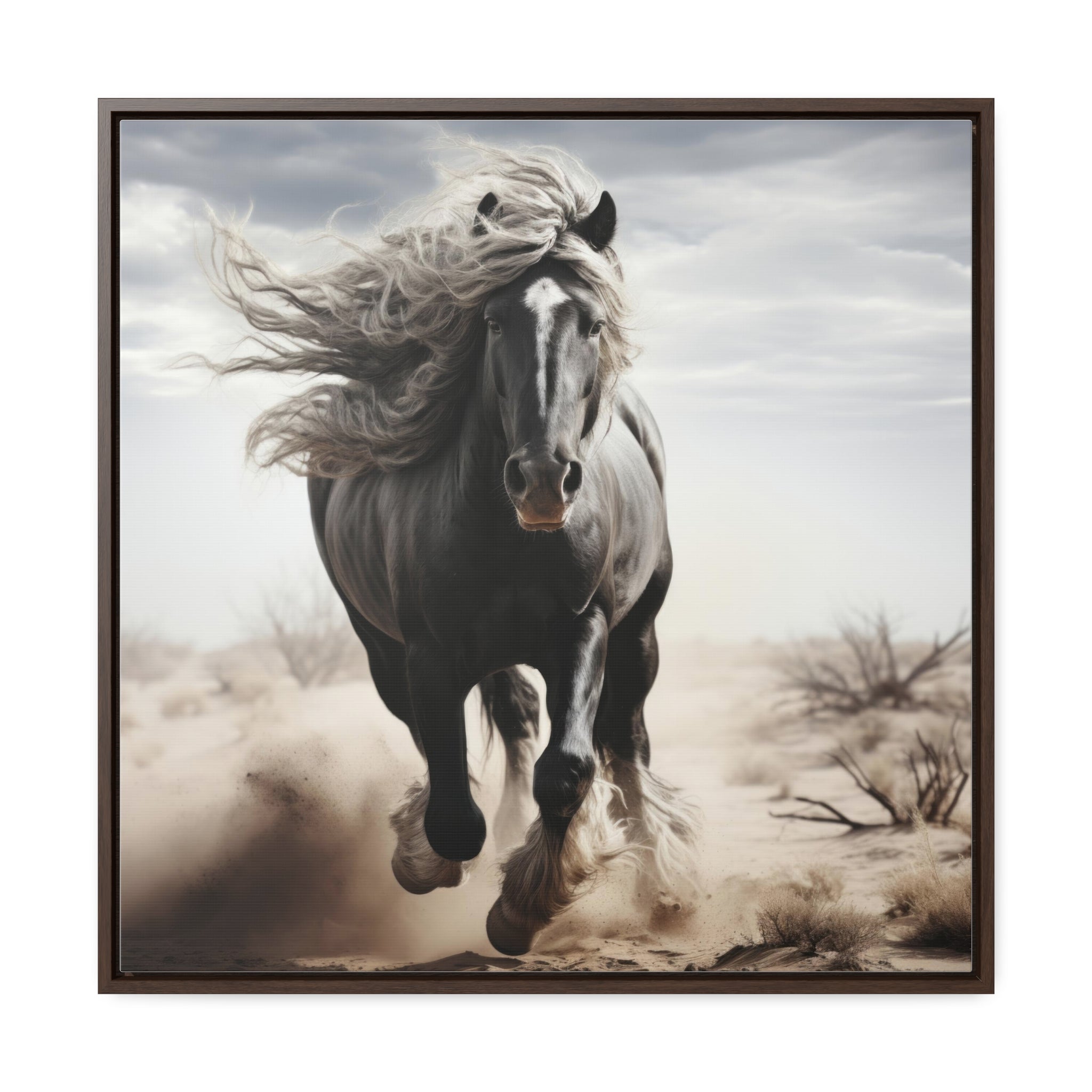 Galineers Cob | Gallery Canvas Wraps, Square Frame