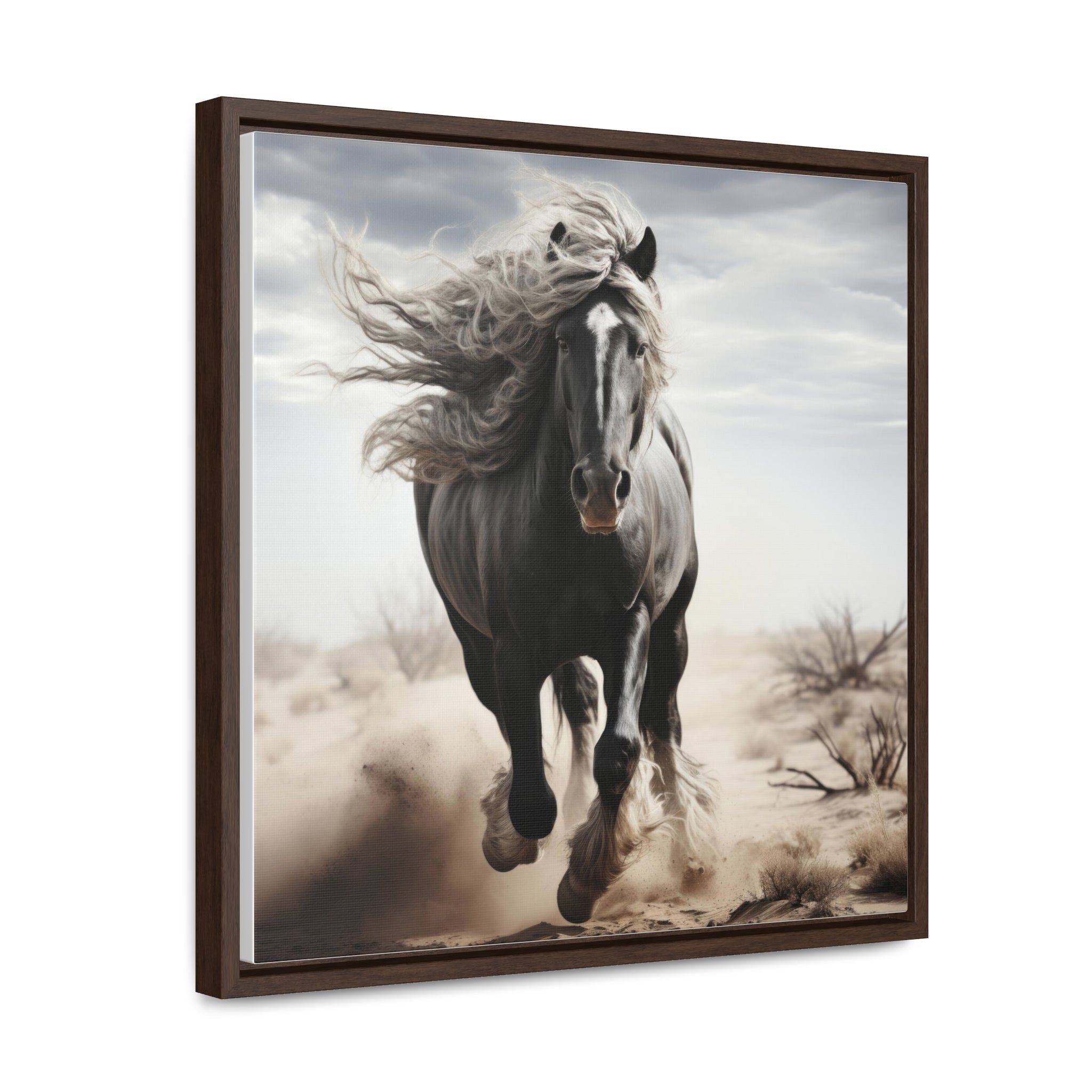 Galineers Cob | Gallery Canvas Wraps, Square Frame