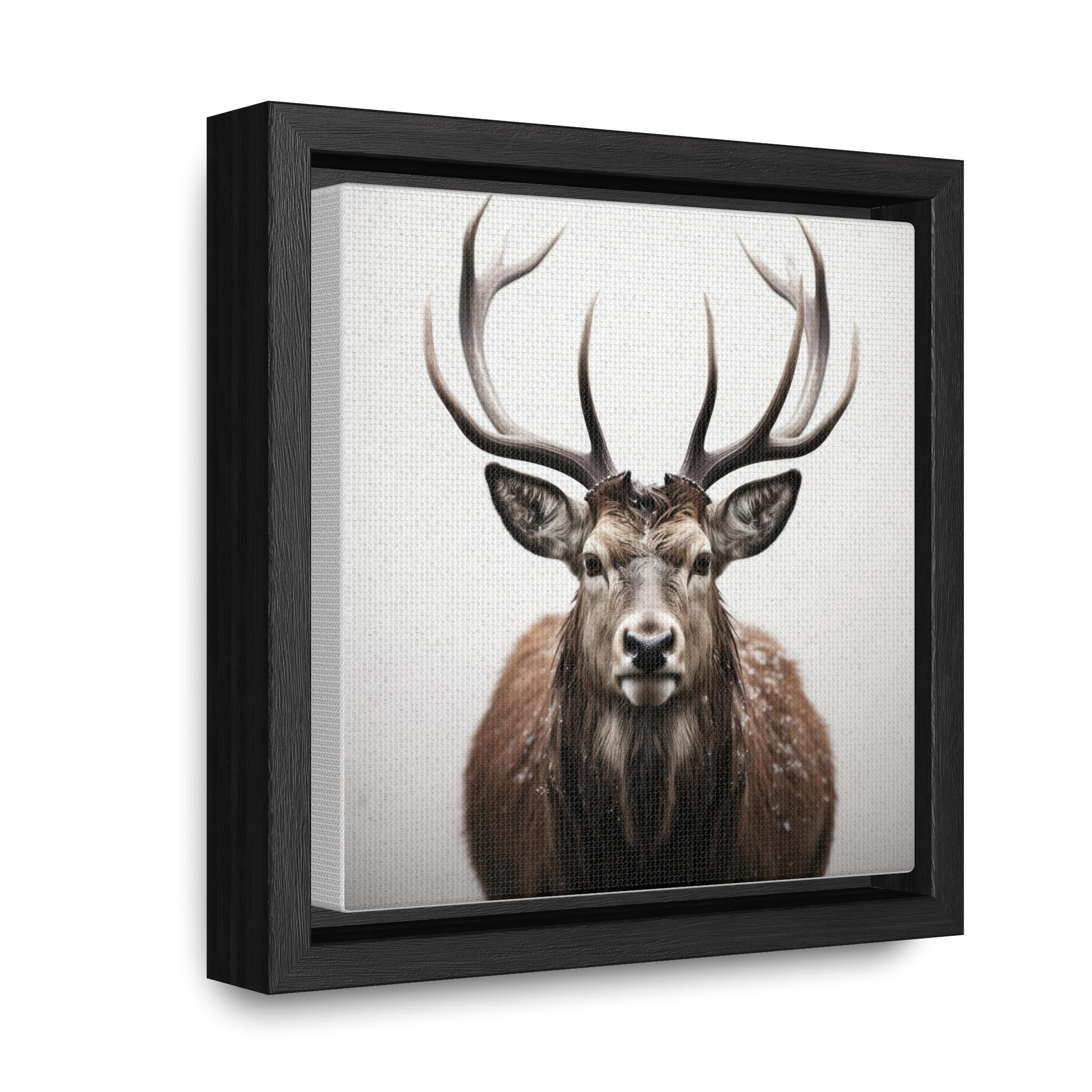 Deer | Gallery Canvas Wraps, Square Frame