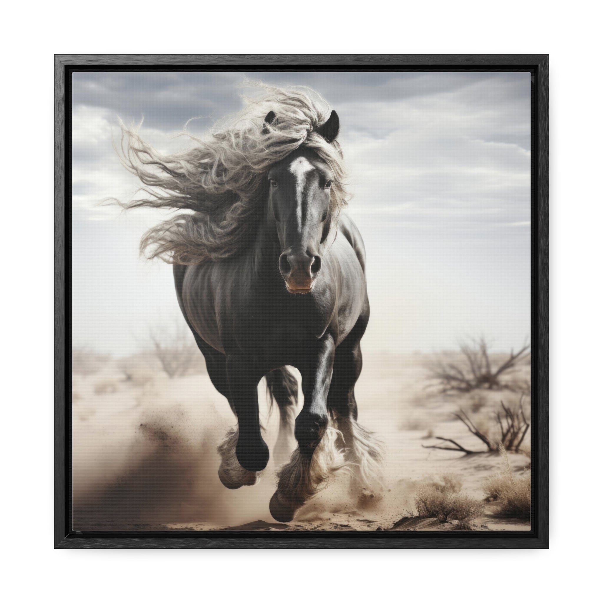 Galineers Cob | Gallery Canvas Wraps, Square Frame