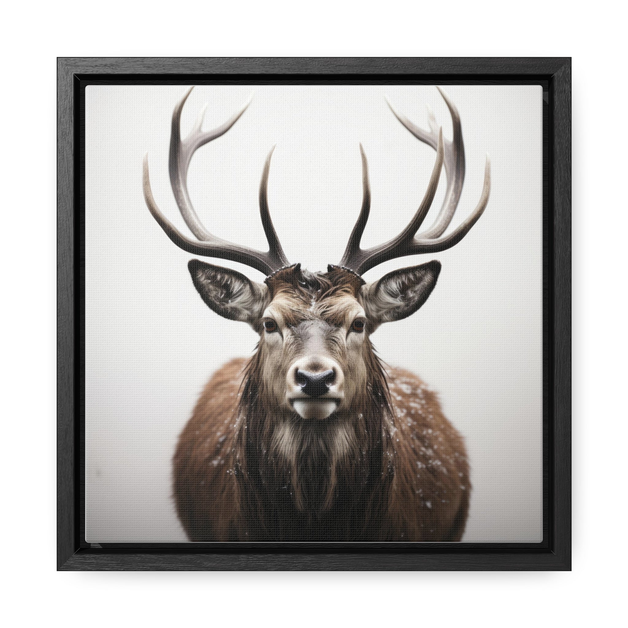 Deer | Gallery Canvas Wraps, Square Frame