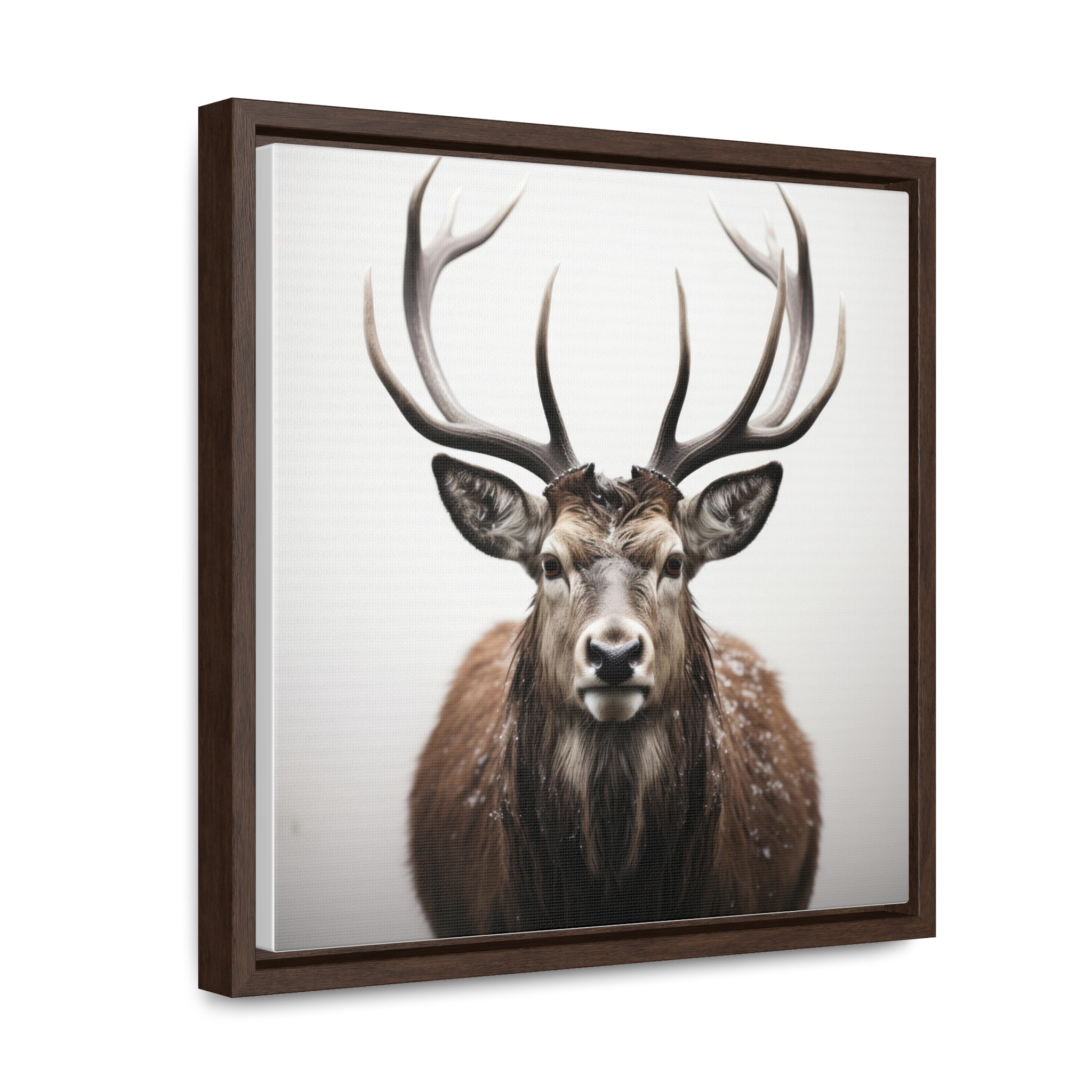 Deer | Gallery Canvas Wraps, Square Frame