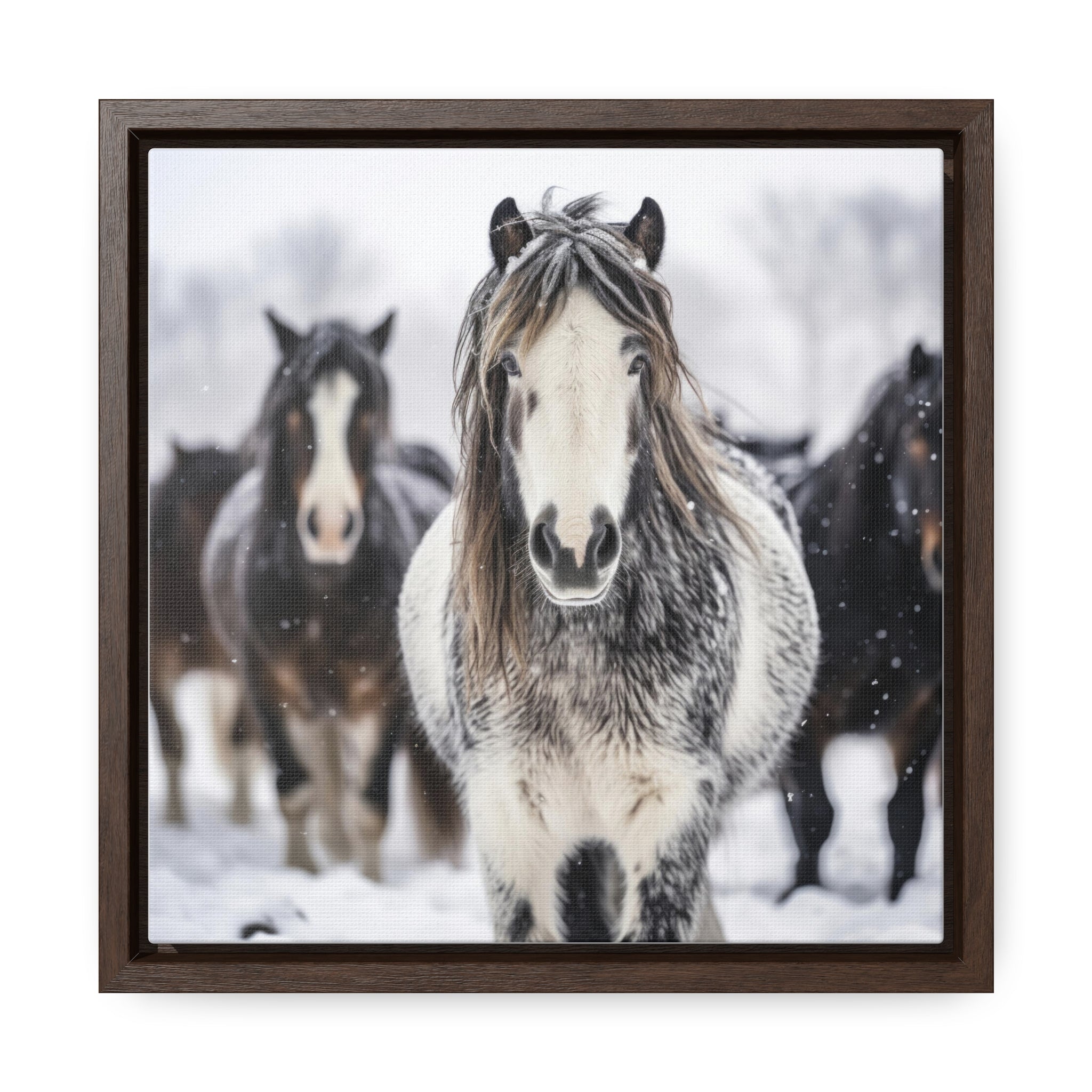 Stallion | Gallery Canvas Wraps, Square Frame