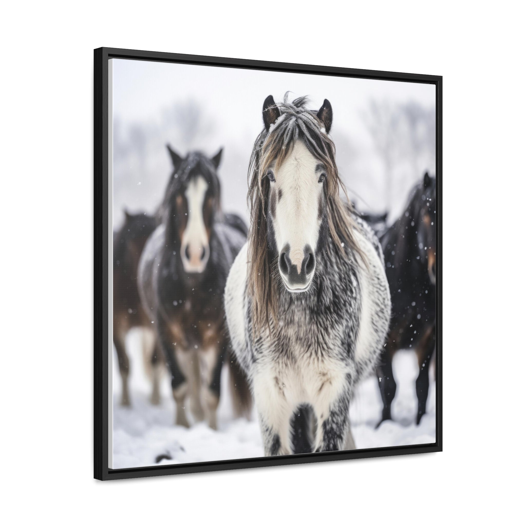Stallion | Gallery Canvas Wraps, Square Frame