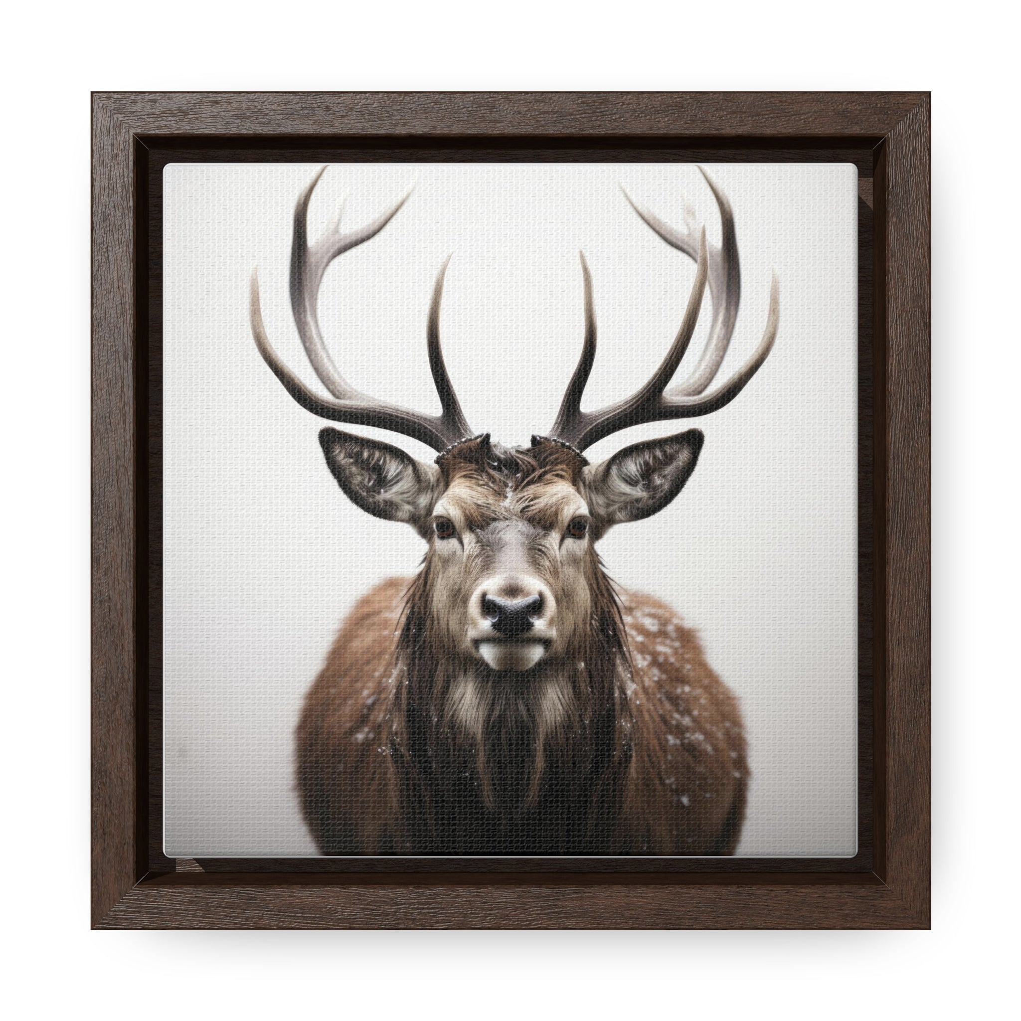 Deer | Gallery Canvas Wraps, Square Frame