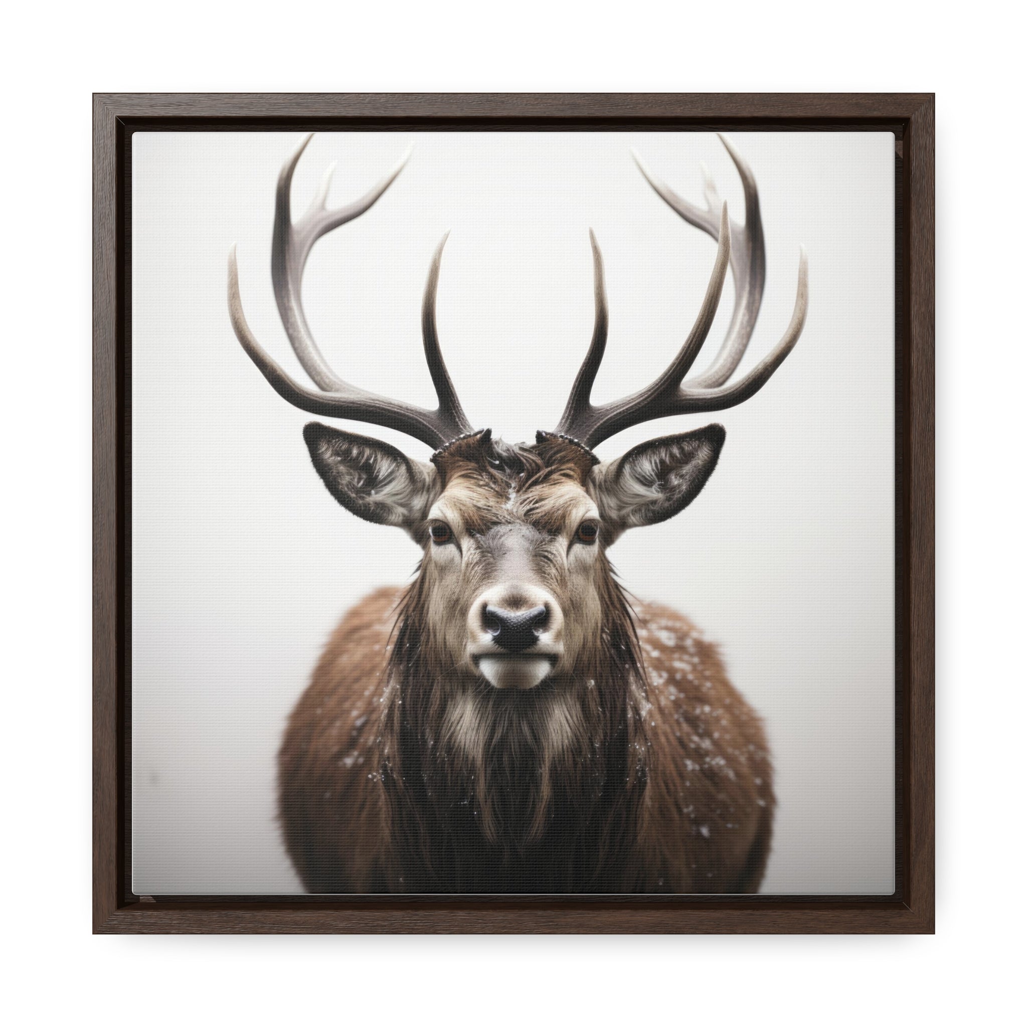 Deer | Gallery Canvas Wraps, Square Frame