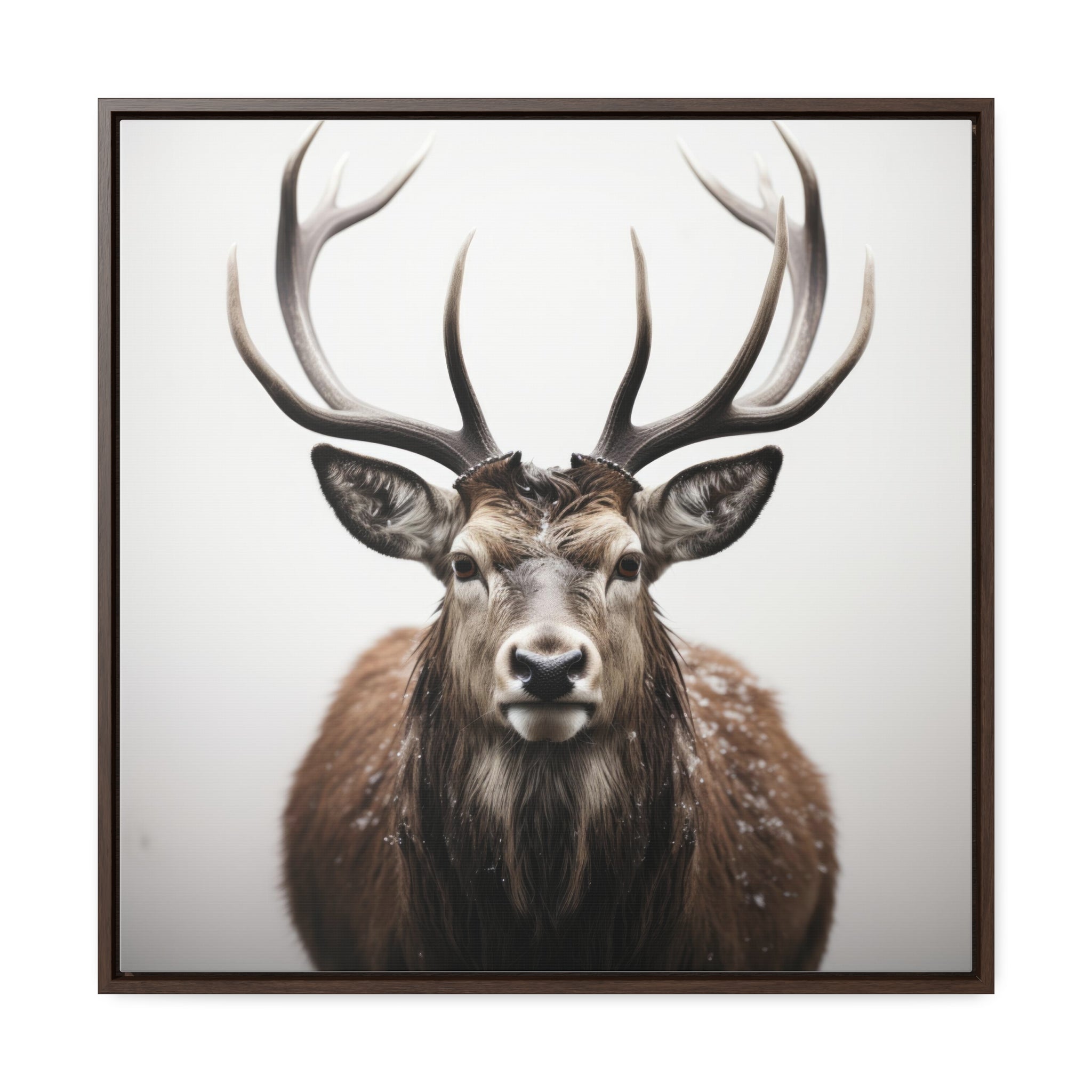 Deer | Gallery Canvas Wraps, Square Frame