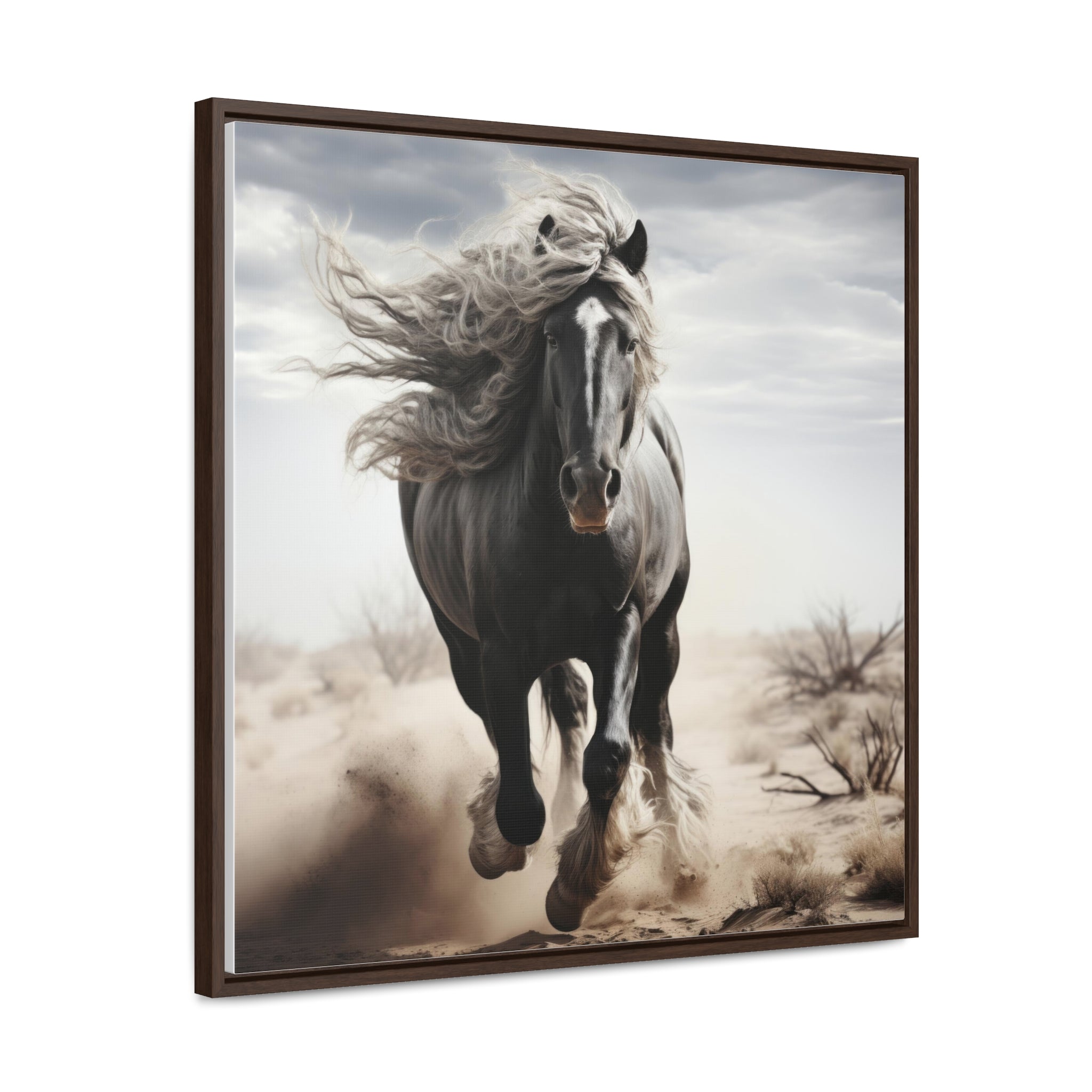 Galineers Cob | Gallery Canvas Wraps, Square Frame