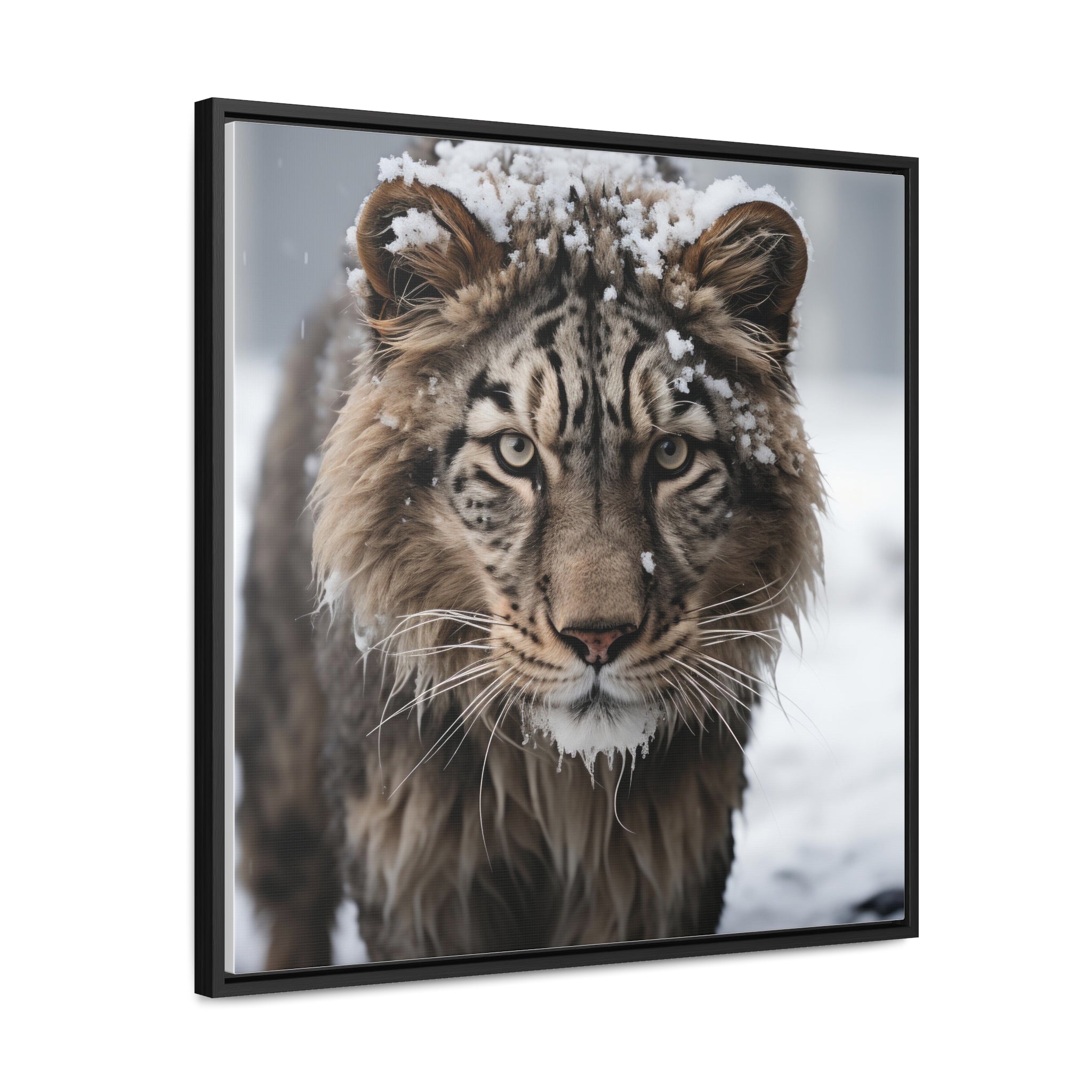 White Tiger  | Gallery Canvas Wraps, Square Frame