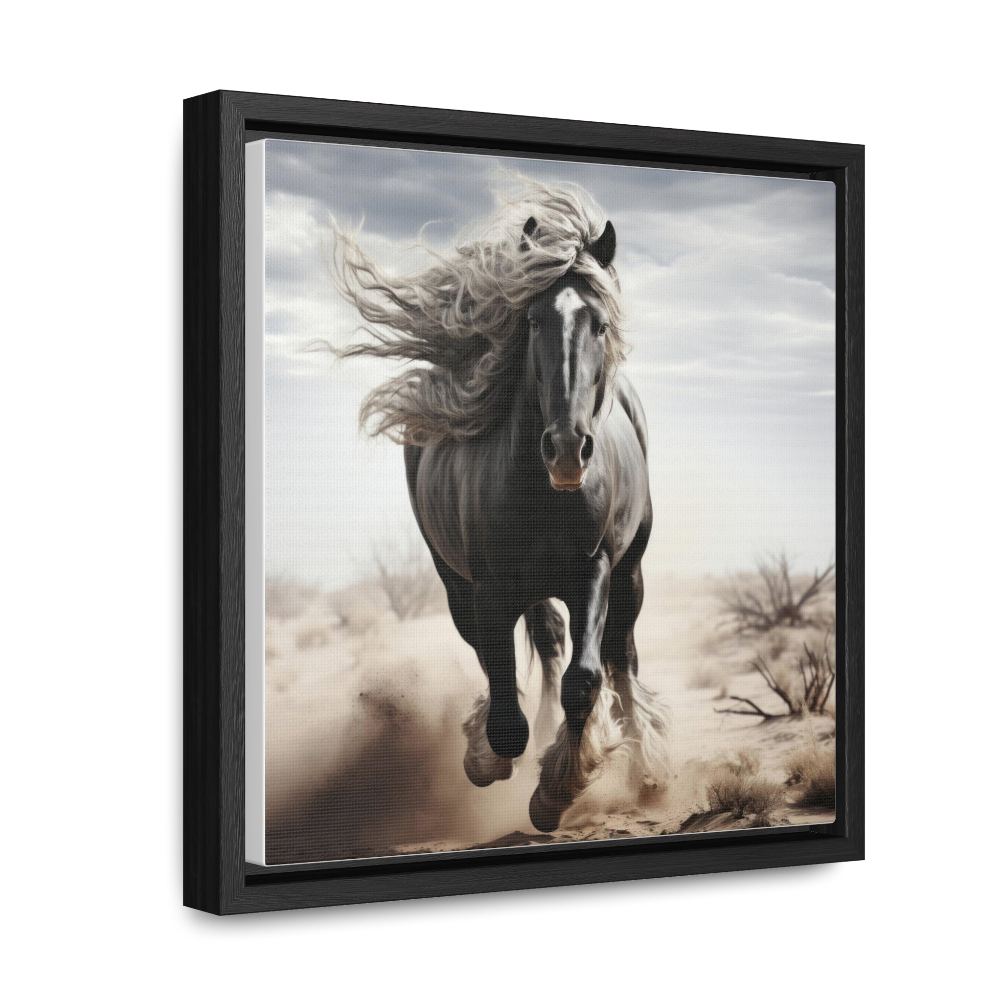 Galineers Cob | Gallery Canvas Wraps, Square Frame