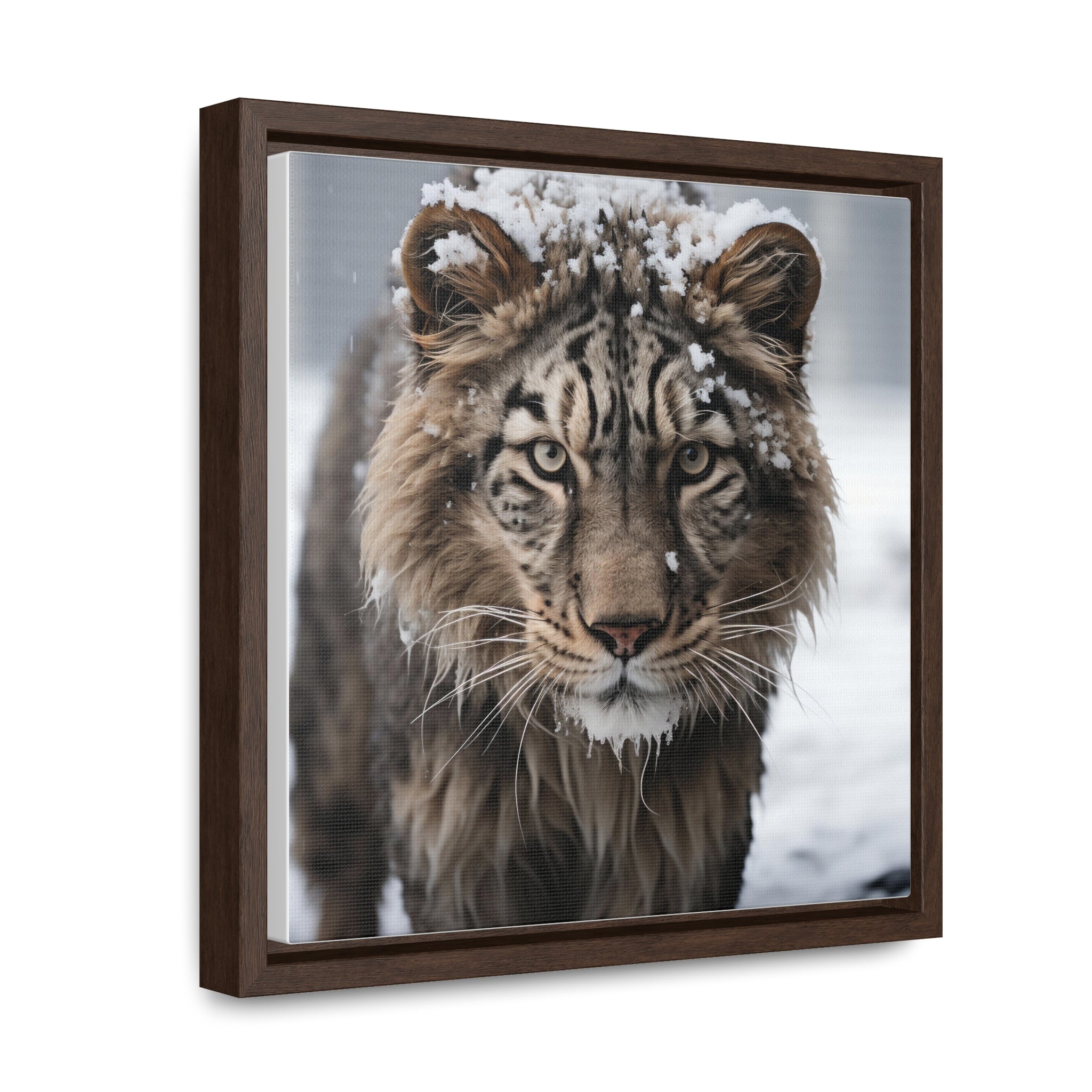 White Tiger  | Gallery Canvas Wraps, Square Frame