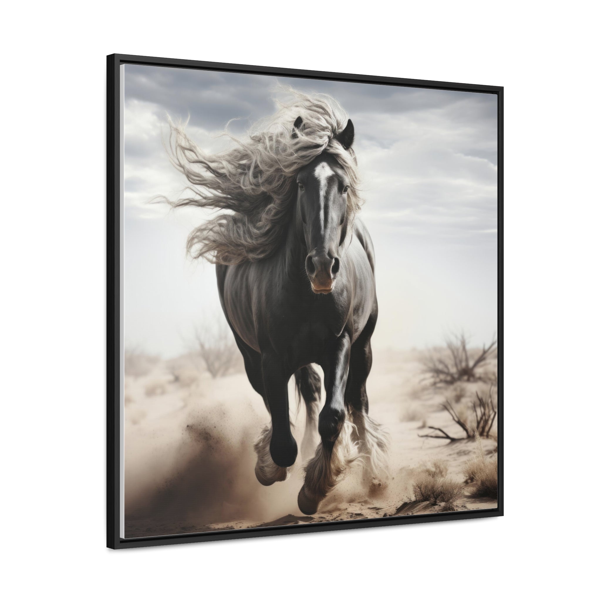 Galineers Cob | Gallery Canvas Wraps, Square Frame