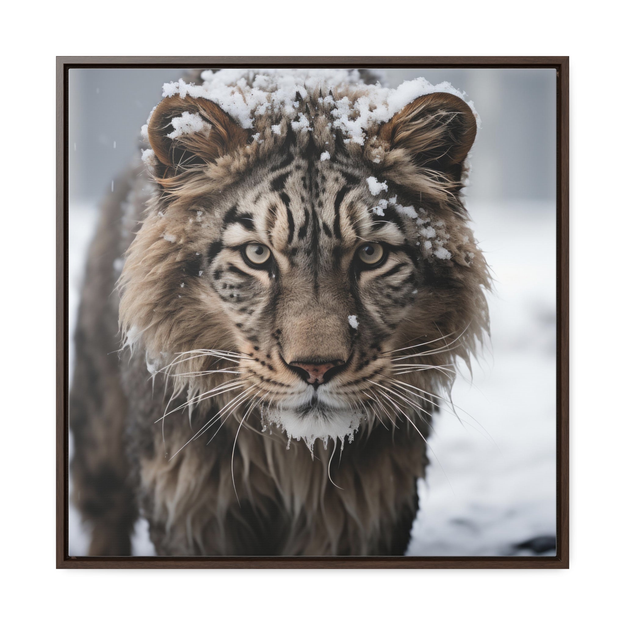 White Tiger  | Gallery Canvas Wraps, Square Frame