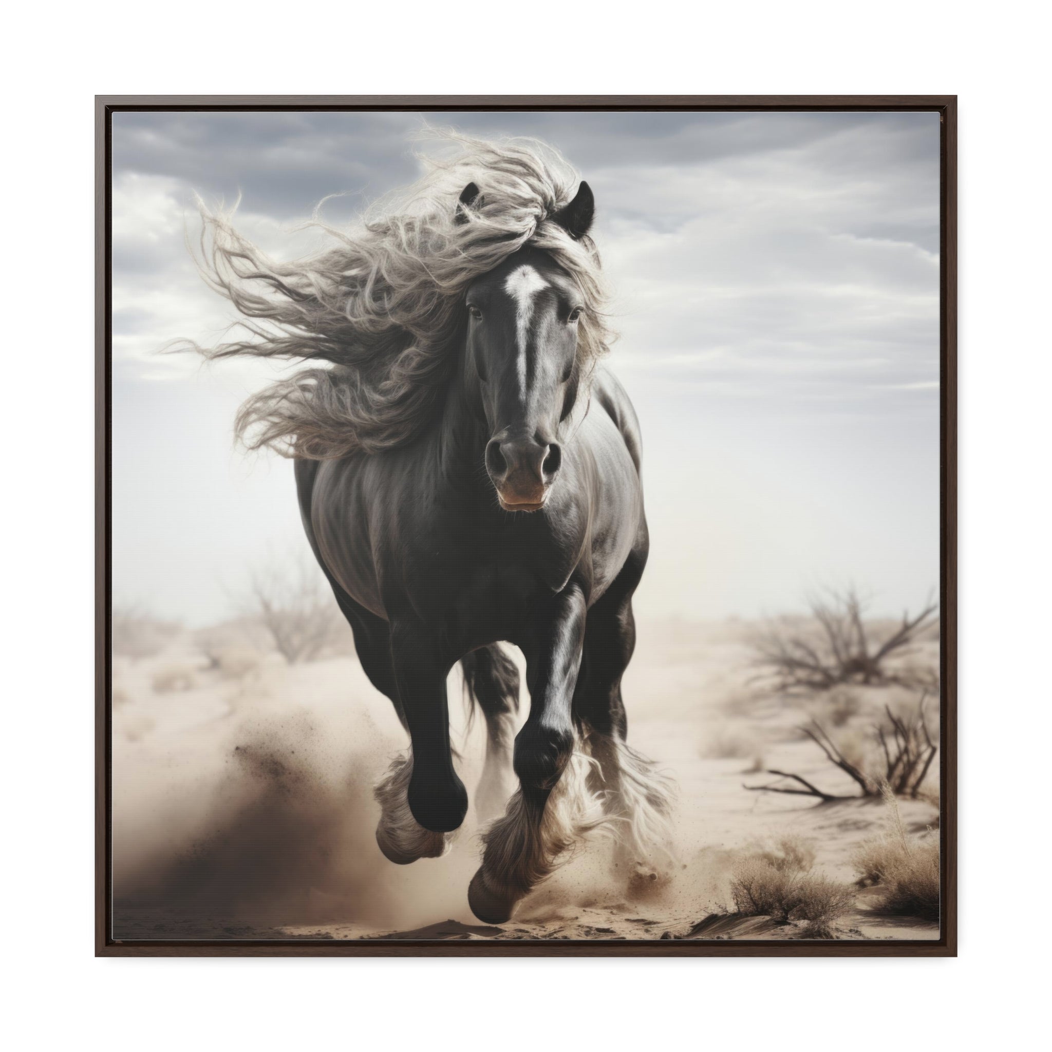 Galineers Cob | Gallery Canvas Wraps, Square Frame