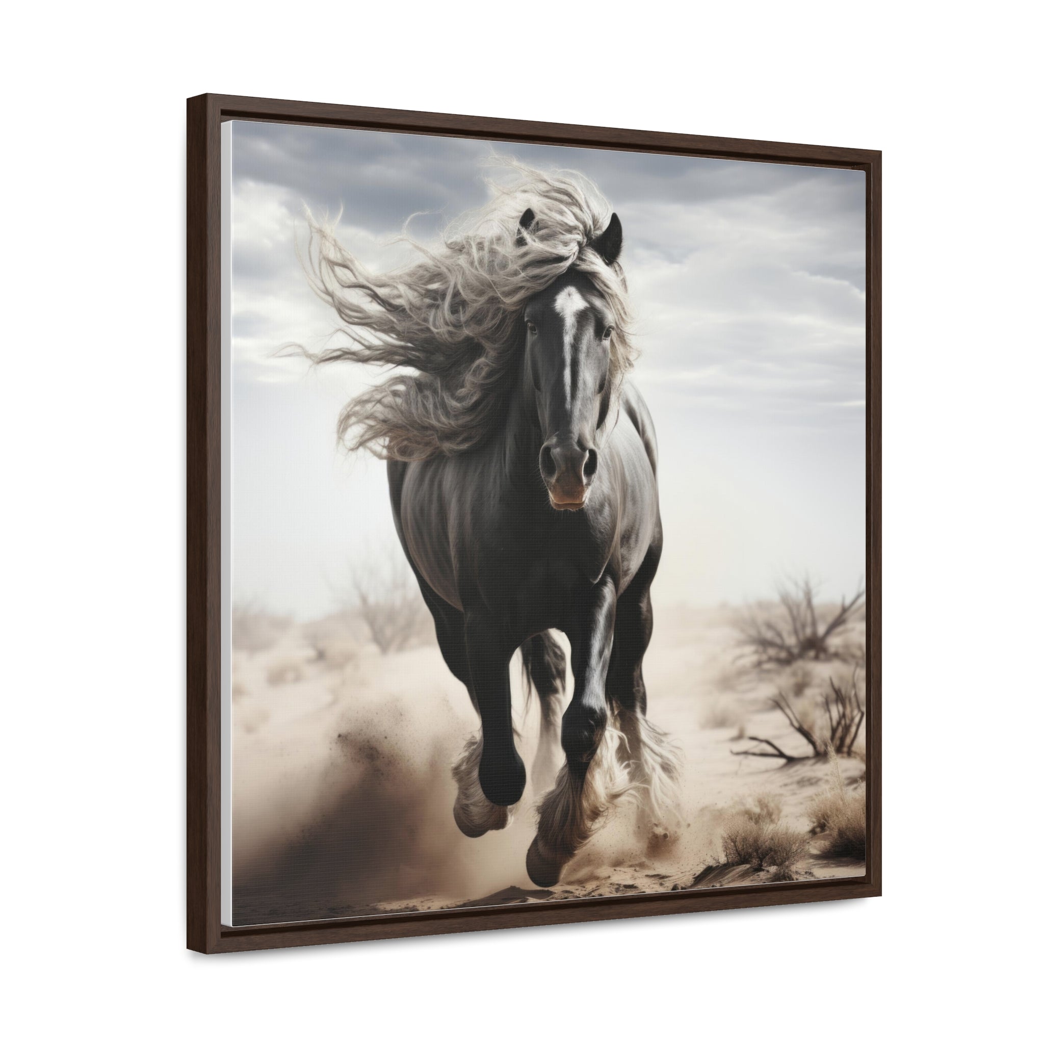 Galineers Cob | Gallery Canvas Wraps, Square Frame