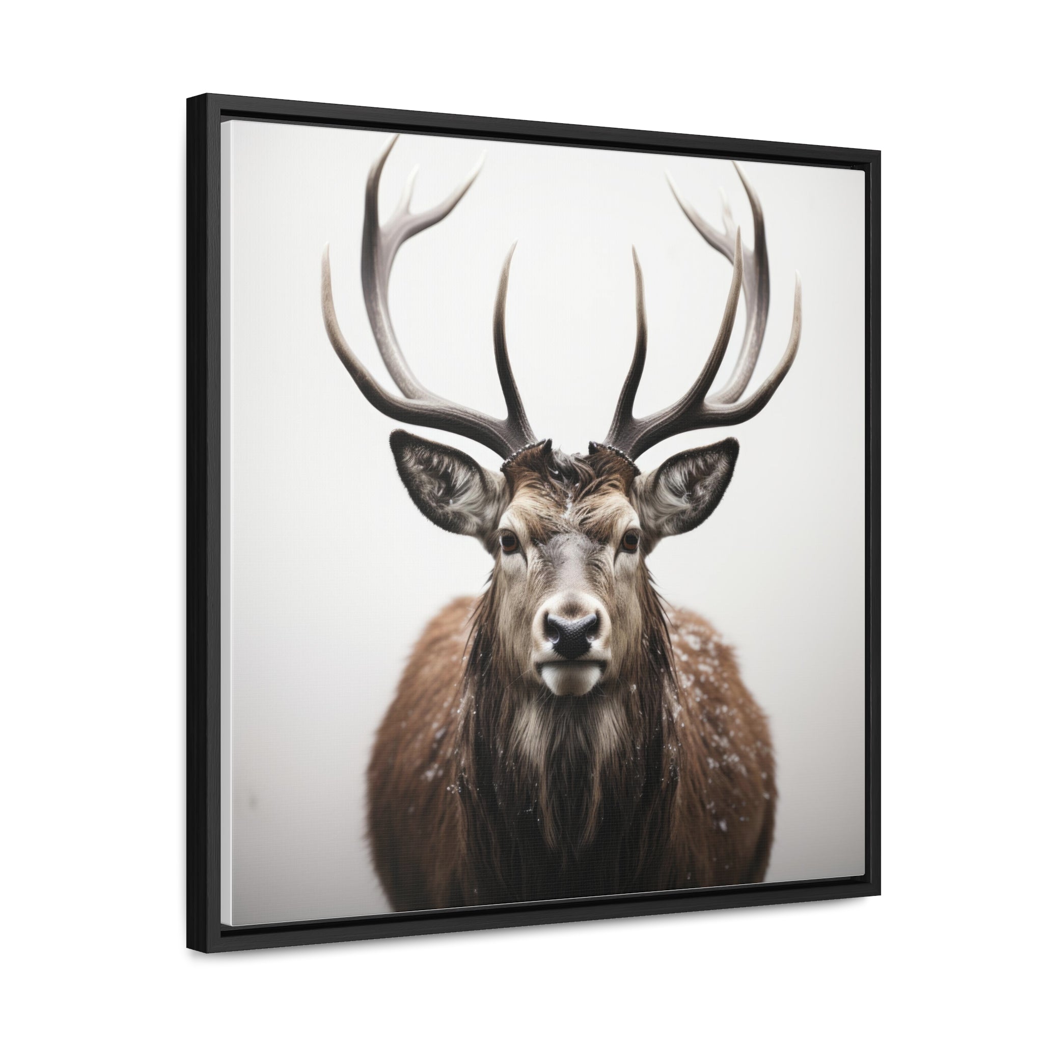 Deer | Gallery Canvas Wraps, Square Frame