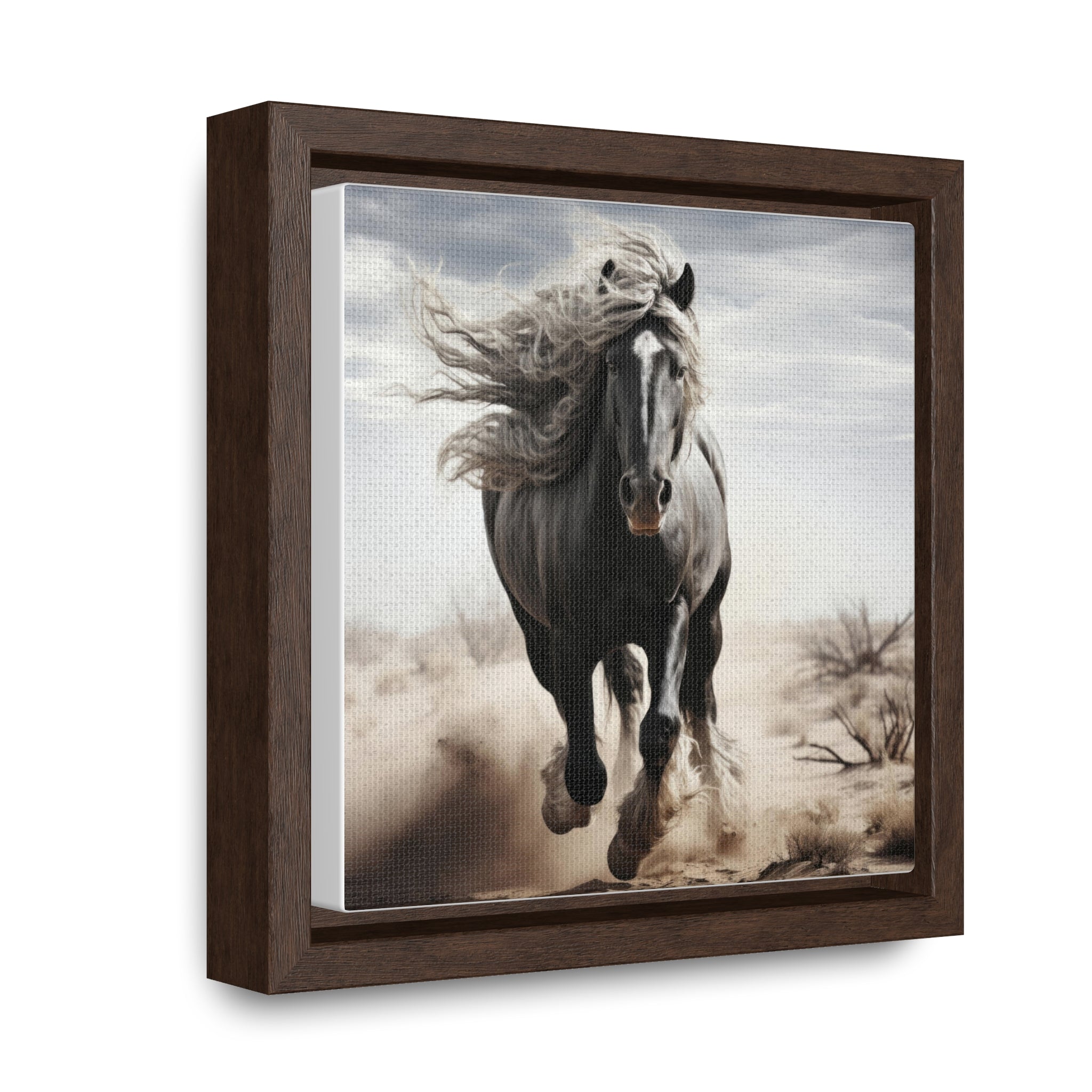 Galineers Cob | Gallery Canvas Wraps, Square Frame